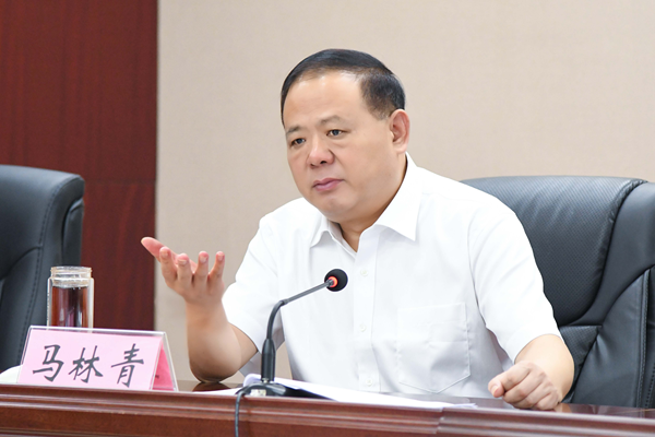 省政府食安辦主任、省市場(chǎng)監(jiān)管局書(shū)記馬林青講話